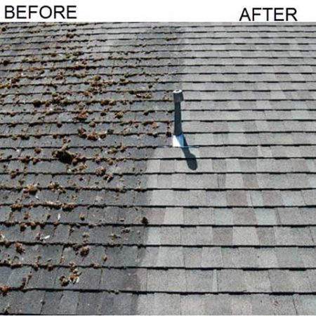 Roof-Treatment-Cleaning-Picture